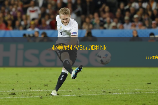 亚美尼亚VS保加利亚